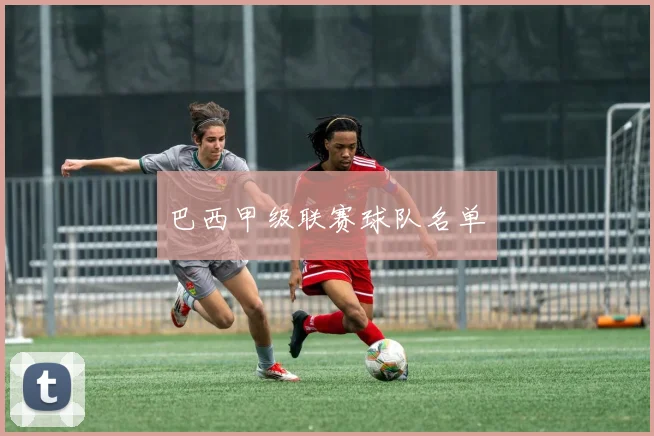 巴西甲级联赛球队名单