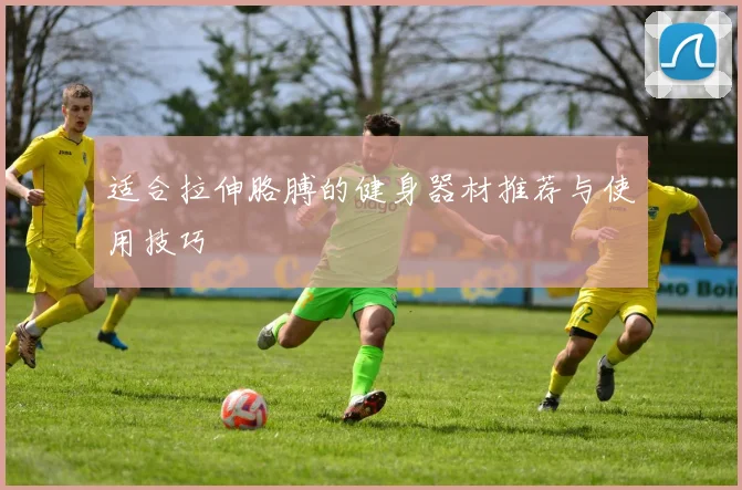 适合拉伸胳膊的健身器材推荐与使用技巧