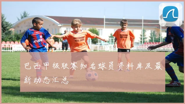 巴西甲级联赛知名球员资料库及最新动态汇总