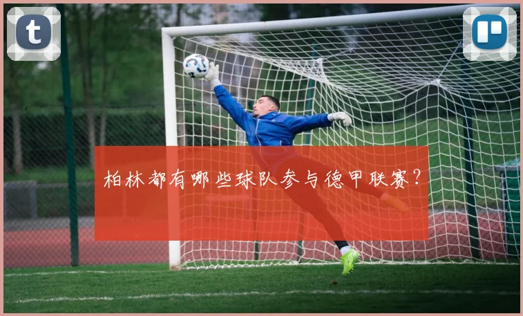 柏林都有哪些球队参与德甲联赛？