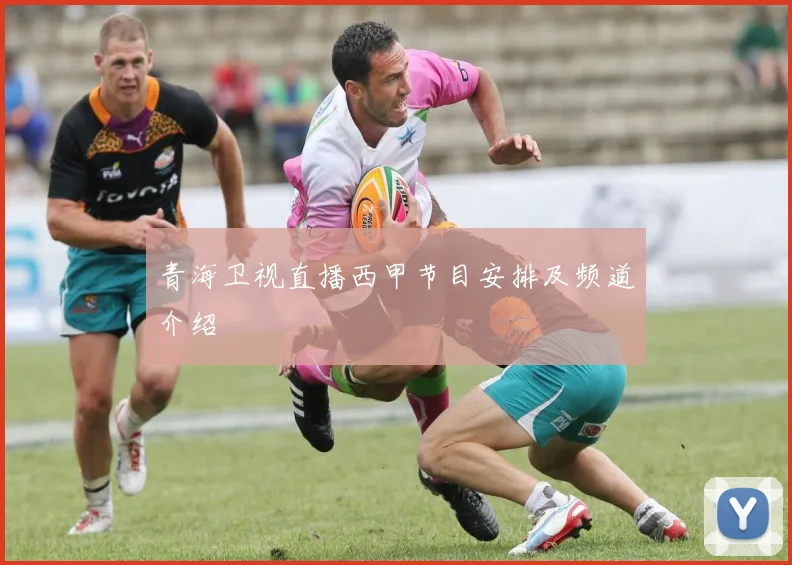 青海卫视直播西甲节目安排及频道介绍